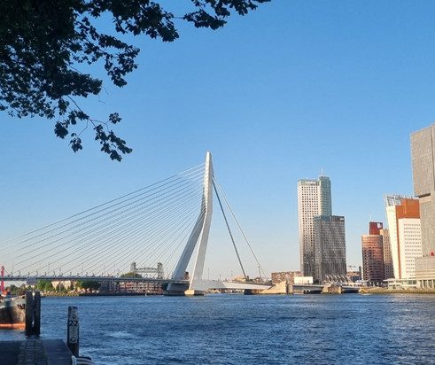 Rondvaart Rotterdamse Haven 